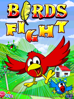 Birds Fight
