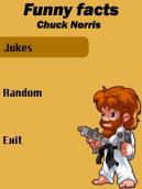 Chuck Norris facts/jokes
