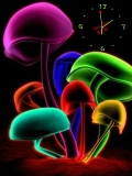 color mushroom.....