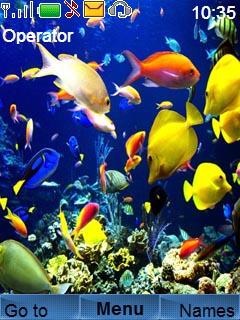 Colorful UnderWater