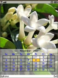 Cosmos Calendar 2012