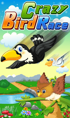 Crazy Bird Race