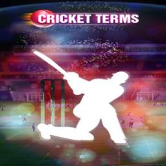 Cricket Terms Lite