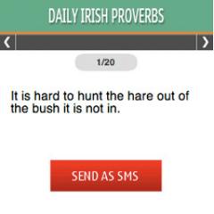 Daily Irish Proverbs S40