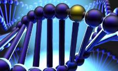 DNA matching wallpapers