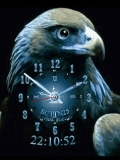 EAGLE CLOCK ANIMATED