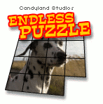 Endless Puzzle