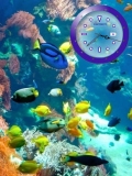 fish clock