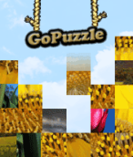 GoPuzzle