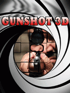 gunsot 3d