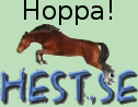 Hoppa Hest 3D