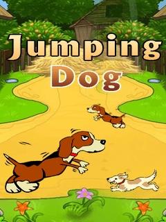 Jumping Dog Free