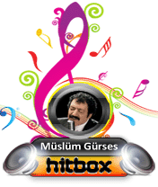 Muslum Gurses Hit Box
