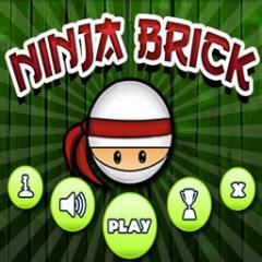 Ninja Brick Mania