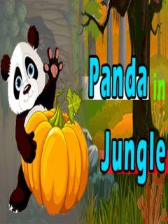 Panda In Jungle