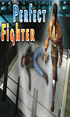 PERFECT FiGHTER