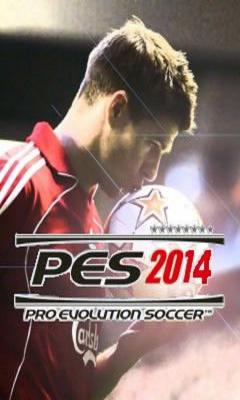 Pes Evolution Soccer