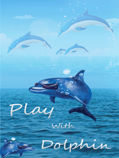 Play with Dolphin