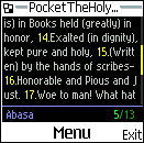 Pocket The Holy Quran
