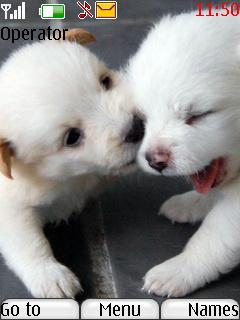 Puppies Love