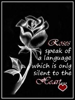 Roses Speak