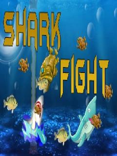SHARK FIGHT