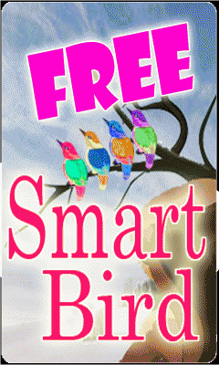 Smart Bird FREE