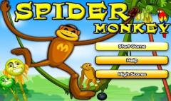 Spider Monkey lite