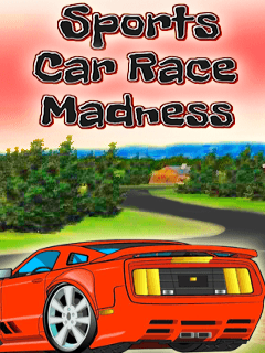Sports Car Race Madness