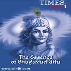 The Essence of Bhagavad Gita Lite