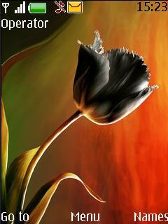 Tulip By Davin