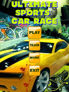 Ultimate Sports Car Race