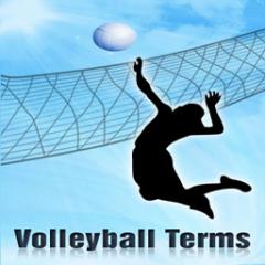 Volleyball Terms Lite
