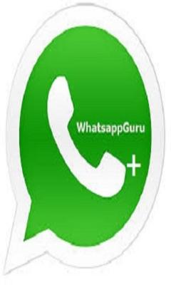WhatsApp Guru Status FREE