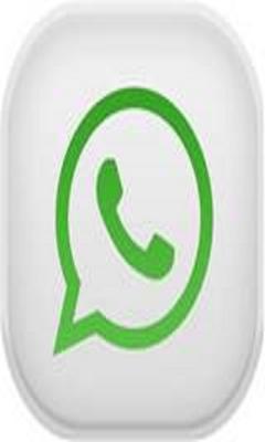 Whatsapp Options