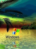 Windows XP  flash