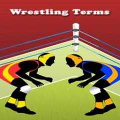Wrestling Terms Lite